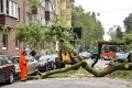 Feuerwehr_Baum   011